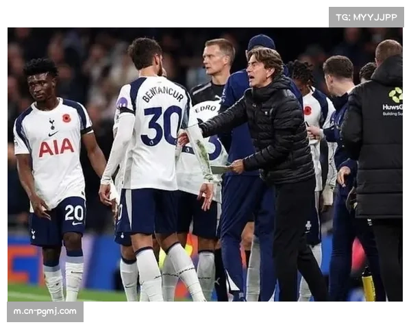 热刺伤病潮加剧保级困境 麦迪逊库卢塞夫斯基长期缺阵